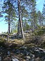 Nordkap 2009 107